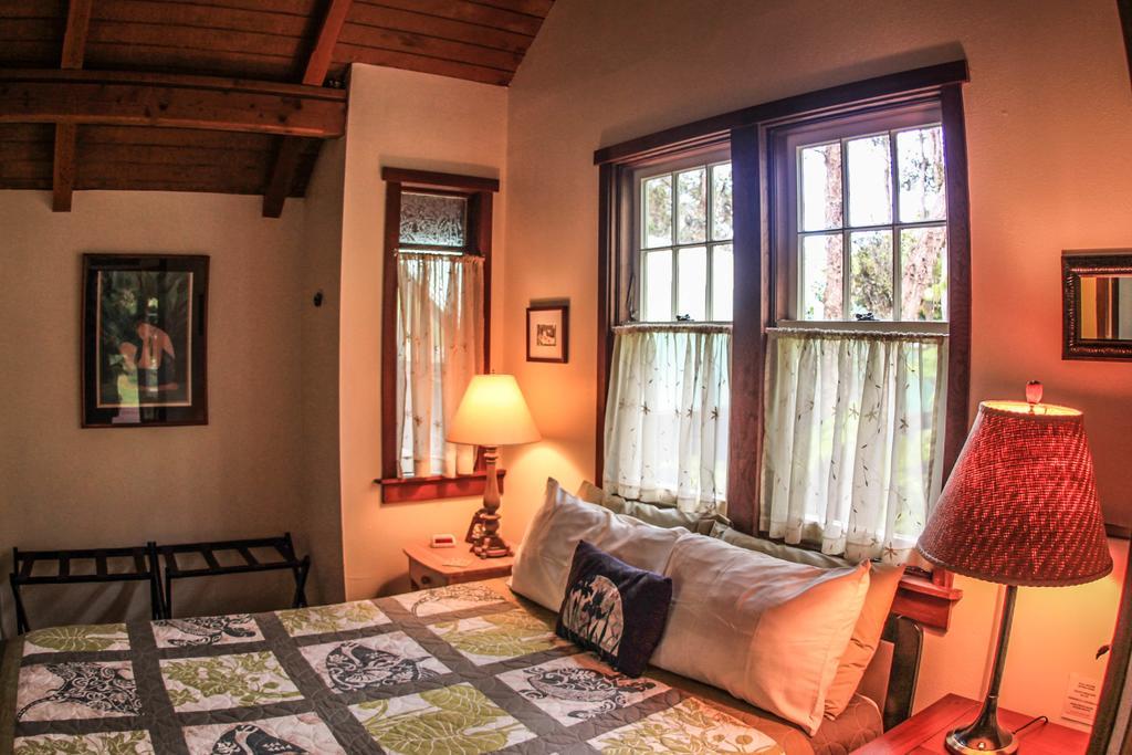 Ferny Hollow: Romantic Rainforest Cottage 볼케이노 외부 사진
