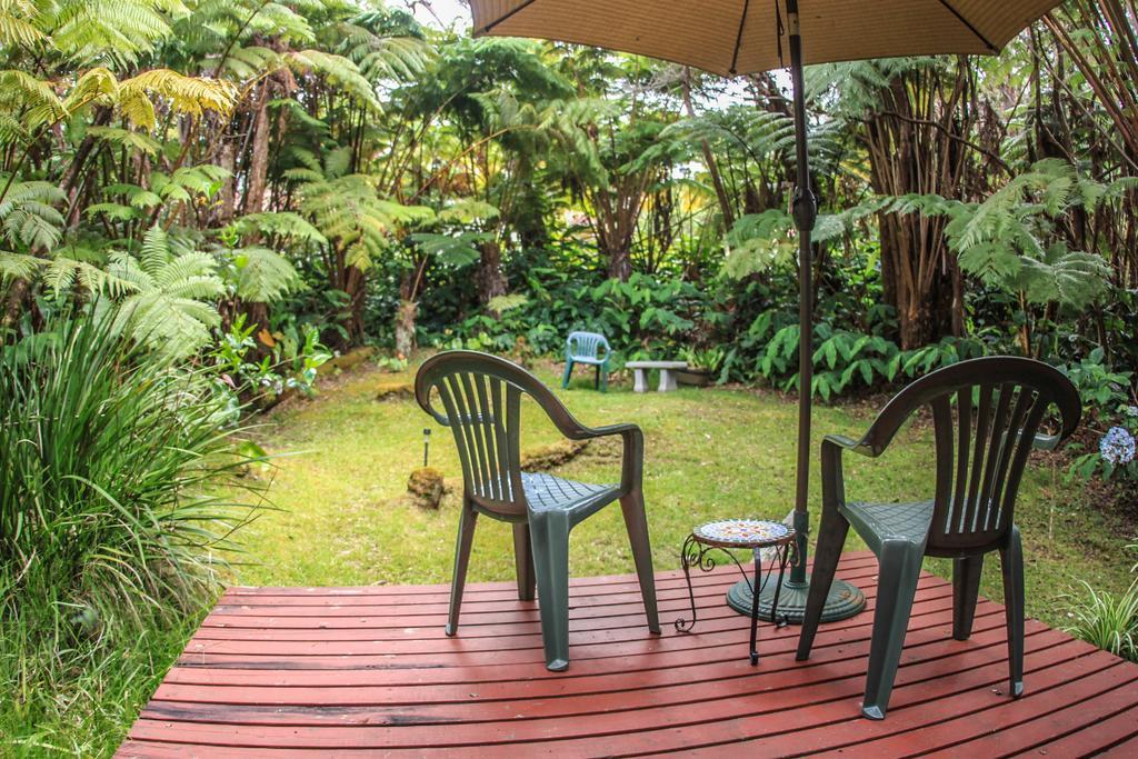 Ferny Hollow: Romantic Rainforest Cottage 볼케이노 외부 사진